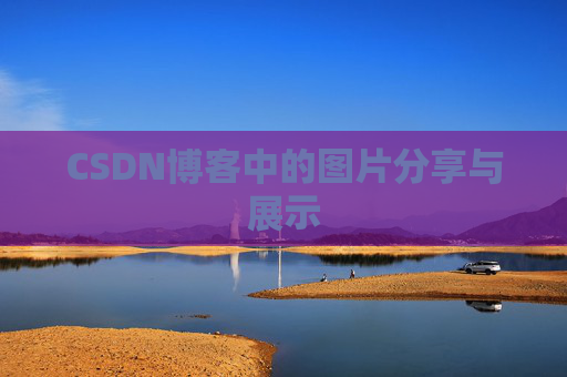 CSDN博客中的图片分享与展示